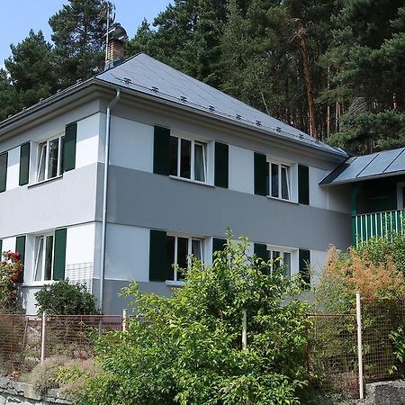 Apartments Michovka Koberovy Exterior foto